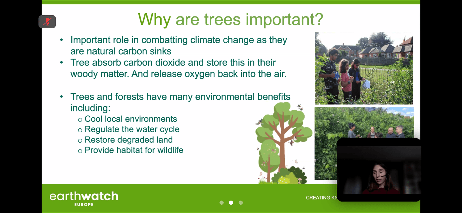 Carbon Week Training Webinar