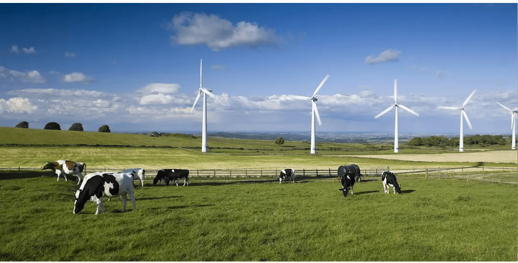 Energy Saving Trust certificate of attendance for organisational carbon emissions tracking and Greenhouse Gas (GHG) Protocol.