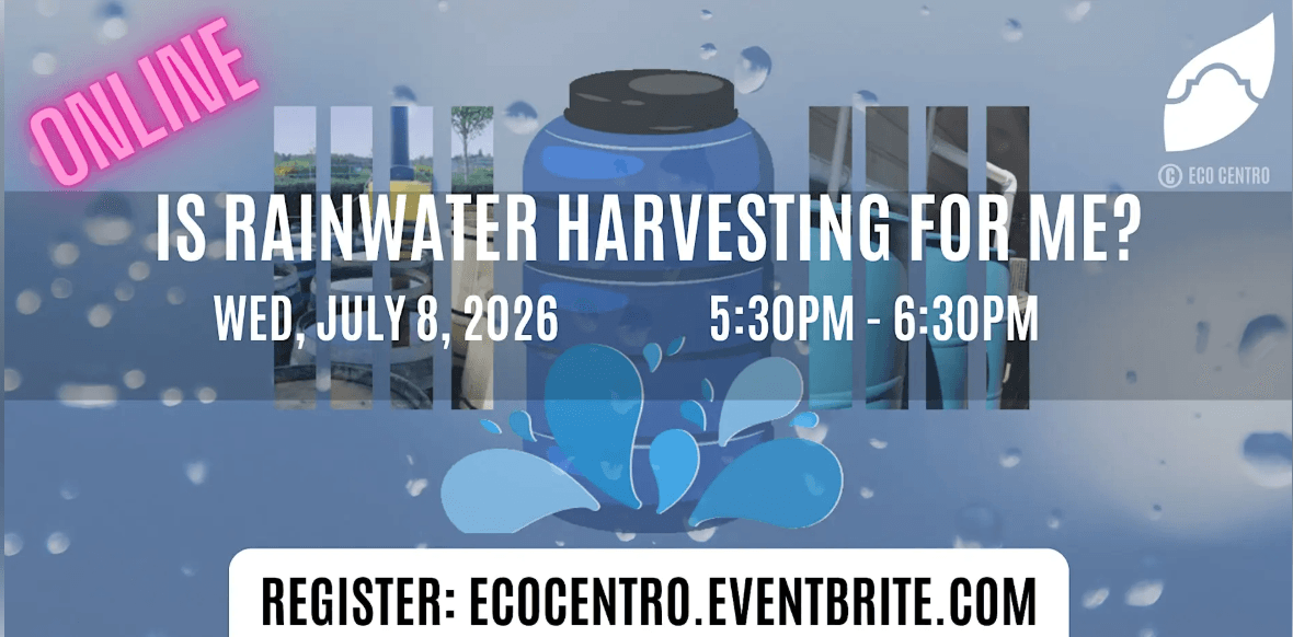 Rainwater harvesting and sustainable water management workshop.