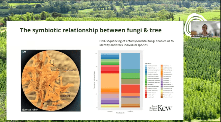 Webinar on nature-based carbon removal solutions.