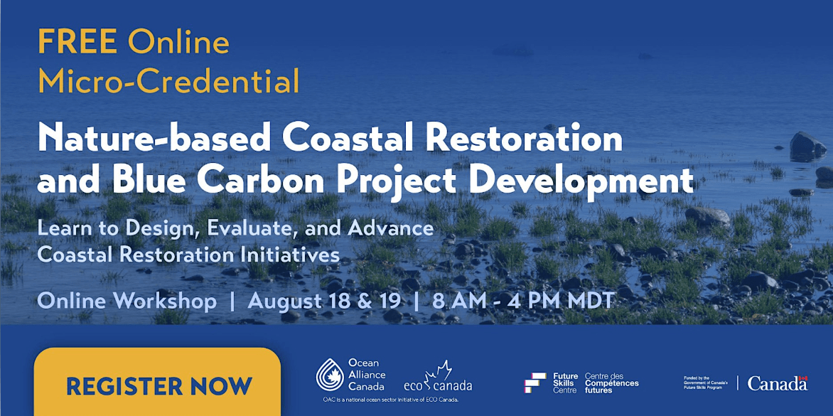 Coastal restoration and blue carbon training on climate resilience.
